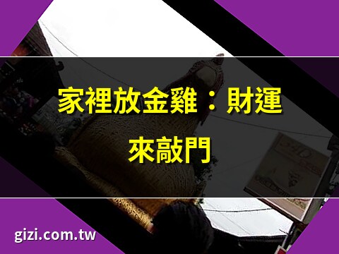金雞可以放家裡嗎