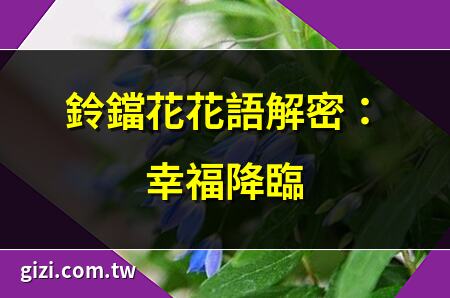 鈴鐺花花語