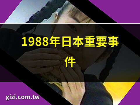 1988 年